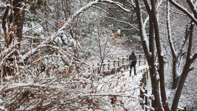 서울·인천 등 대설특보…밤새 6㎝ 많은 눈 전망