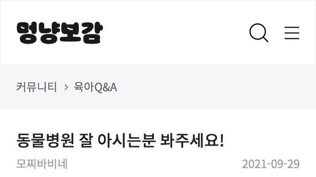 대파 먹어 동물병원 갔더니 38만원 결제