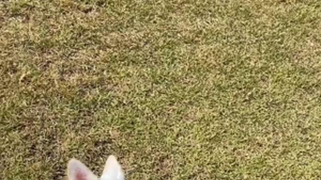 쏘옥쏙쏙 방울 빙글빙글