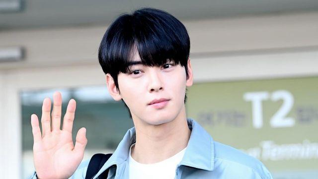 차은우, 한 방에 나락 간 '200억 탈세'…군 전역 후 빨간불 켜졌다 [엑's 이슈]