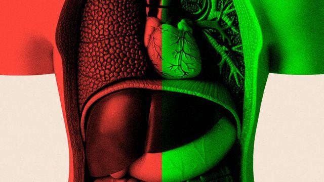 장 건강은 노화에 어떤 영향 미칠까