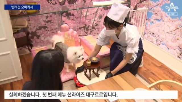 요즘 오마카세 근황 .jpg