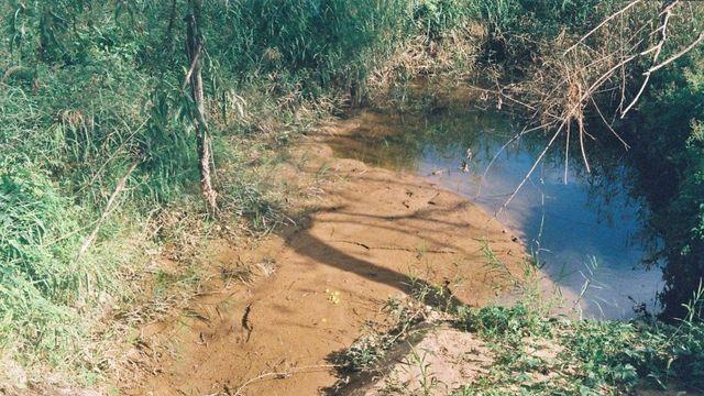 필린이 귀찮아서 미룬 25년 1년간 찍은 4롤 결산