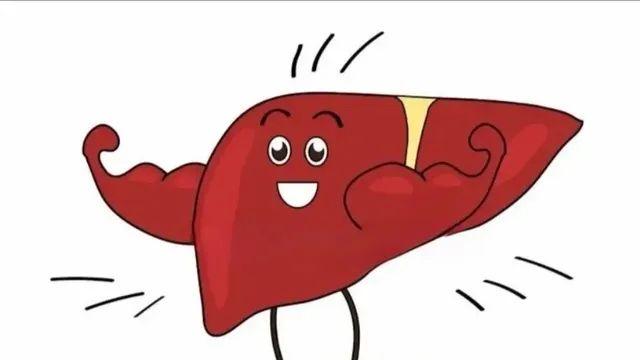 근육은 많이 사용할수록 단단해진다