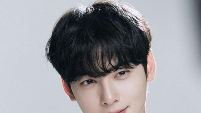 “법인 명의여도 개인 소득” 차은우 ‘200억 탈세 의혹’ 법조계 판단은