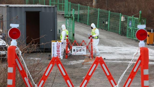 경기 포천 돼지농장 ASF 확진…인접 8개 시군 '일시 이동중지'