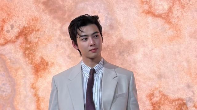 차은우 ‘200억 탈세 의혹’ 법조계 분석…“소속사 개입 가능성”[SD이슈]