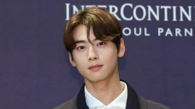 차은우 200억 탈세 논란…국세청이 추징 나선 진짜 이유[세상만사]