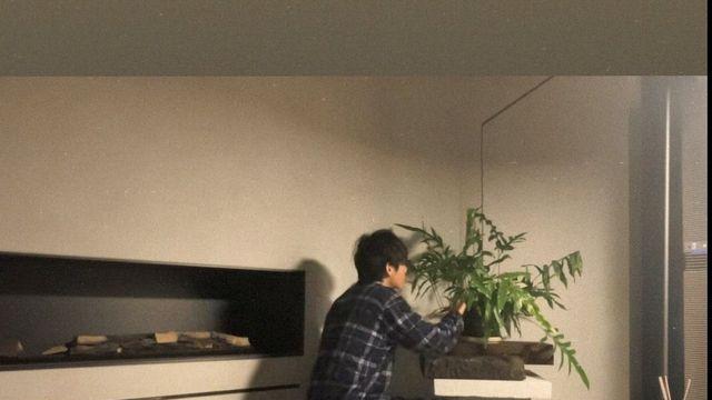 방탄소년단 뷔, 앨범·식물 키우는 식린의 하루