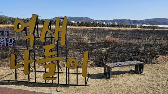 태화강 억새밭에 불 지른 50대, 하루 만에 체포