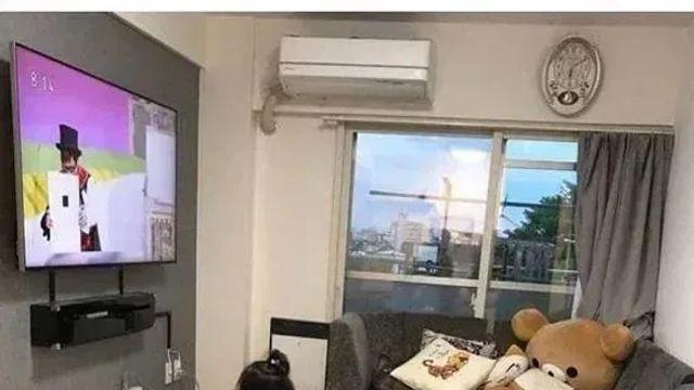 할머니 집에서 자란 애기 특징