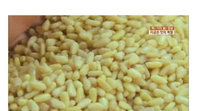 요즘 사람들은 의외로 잘 모르는 잣 본래 모습