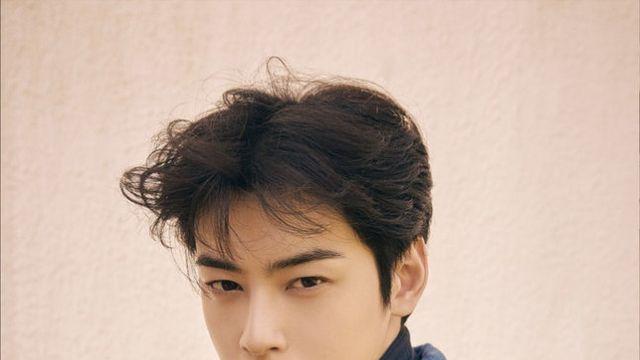 ‘입장 표명’ 차은우 ‘2000만 뷰 수혜’ 브랜드도 ‘손절’→차기작 불똥 어쩌나 [왓IS]