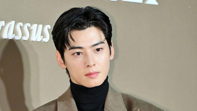 '200억 탈세 의혹' 차은우, 연초 군 휴가 나왔다 [공식]