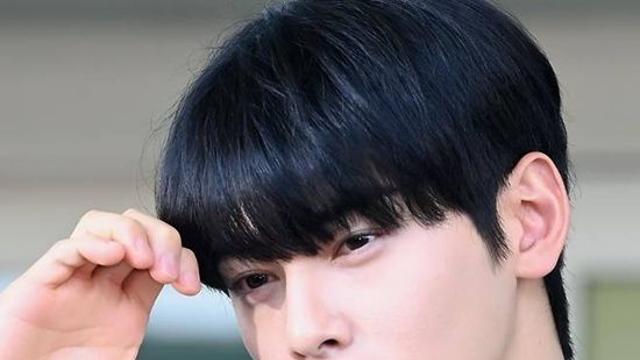 차은우 사과했지만…'200억 탈세 의혹 여파' 광고 손절 계속