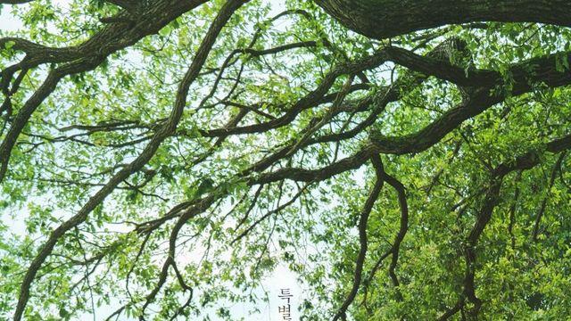 박진영♥김민주 봄날 같은 첫사랑 티저 최초 공개 (샤이닝)