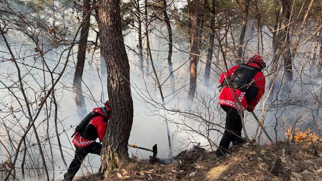 건조한 겨울날씨에 강풍까지… 충청권 산불 경계령