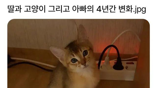 딸과 고양이 그리고 아빠의 4년간 변화