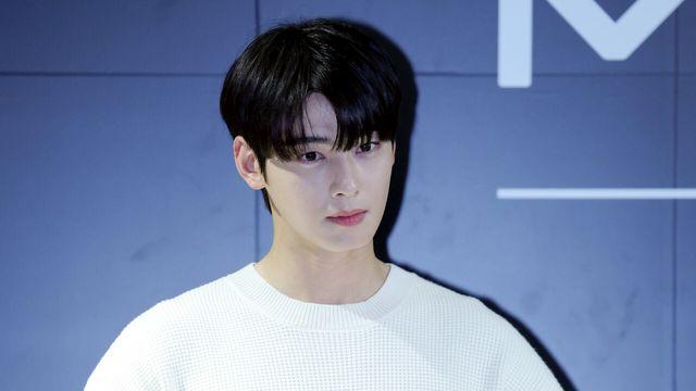 차은우, 200억 탈세 의혹에 “‘성실히 모든 절차 임할 것”