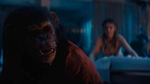 “침팬지는 사람을 찢어”… ‘프라이메이트’ 오늘(28일) 개봉, 광기의 관람 포인트