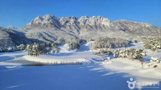 '가족·연인과 떠나는 눈꽃여행' 나만 알고 싶은 강원도 설경 명소