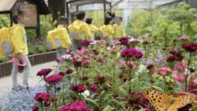 유치원 숲체험 갔던 4살 아이, 바다서 익사…교사 '유죄'에 교육계 반발