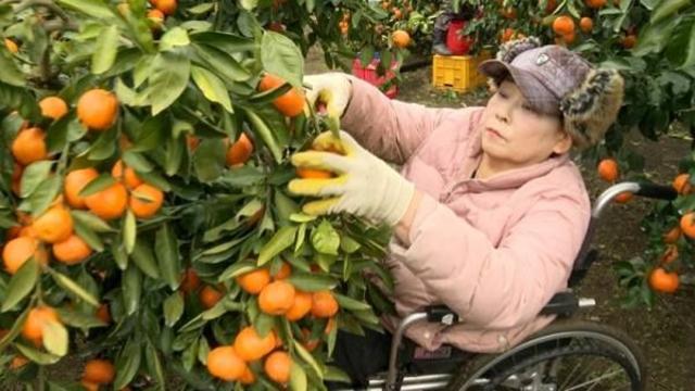 '인간극장' 무쇠 팔 우리 엄마, 남편 잠든 곳서 눈물을 쏟다