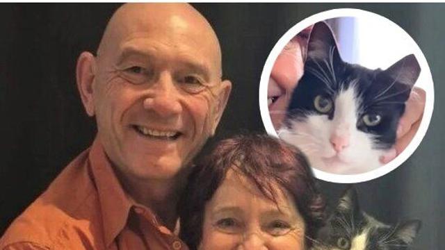 여행 도중 잃어버린 고양이가 5개월 만에 집으로 돌아왔다