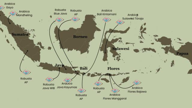 인도네시아 커피 원두 정보
