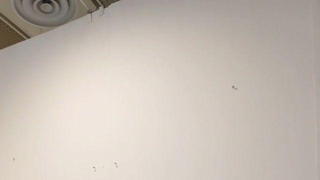 이찌고 세연, 코엑스 월드아트페스타 출품작 완판