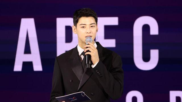 200억 탈세 의혹 차은우, 국방부도 손절…'군 홍보 영상 삭제'