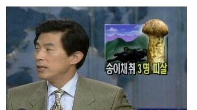 강릉 무장공비 침투 사건 당시 국방부가 벌인 병크 (2번항목)