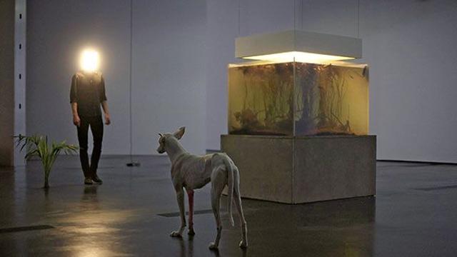 [정서원 아카이빙] 낯선이의 언어②