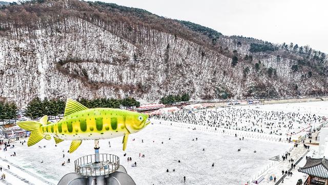 [여행honey] '얼음 위의 진풍경' 화천의 겨울