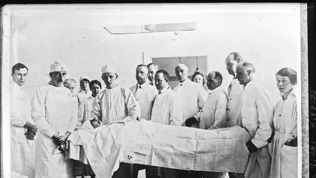 1차 세계대전 비극이 연 성형수술의 새 장…신간 '얼굴 만들기'