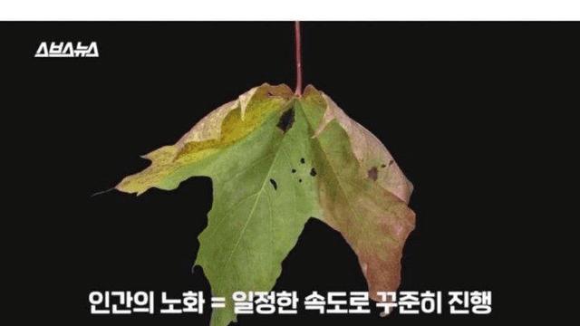 인간의 노화는 크게 3번 온다