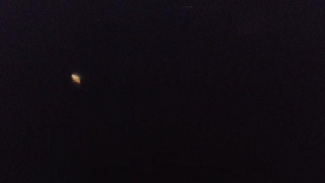 일본 네가 스냅