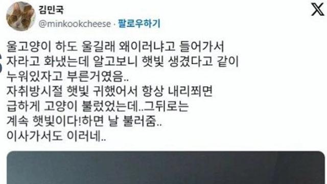 고양이가 하도 울길래 왜 이러나 했더니...