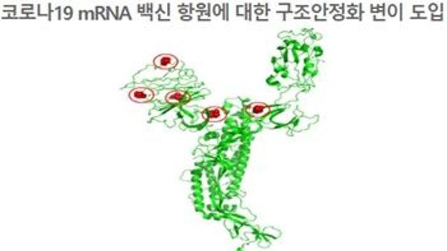 질병청, AI 기반 ‘범용 코로나19 백신’ 설계 기술 개발