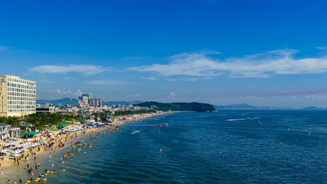 보령 대천해수욕장 7월 4일 개장…무창포는 7월 11일