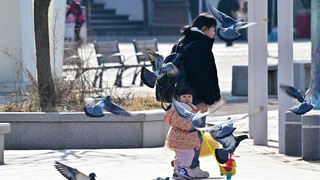 [다음주 날씨] 월요일 전국에 눈·비...주말부터 강추위 '영하 10도'