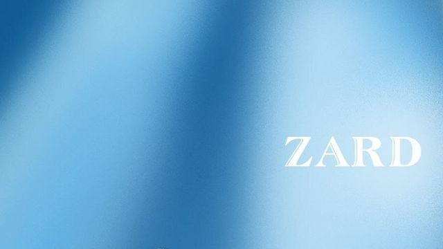 일본의 아이유라 불리는 가수