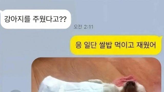 강아지를 주워와서 정성껏 돌 본 사람