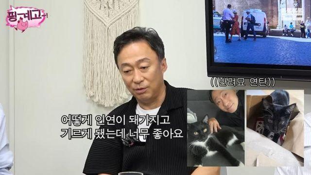 [풍향고] 이성민 아저씨의 냥집사 모먼트
