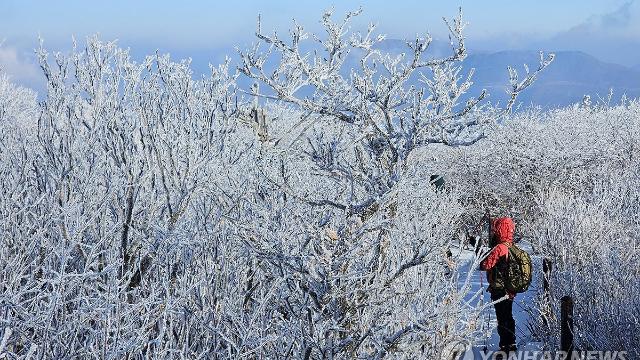 [내일날씨] '최저 -13도' 출근길 강추위…강원·경상 대기 건조