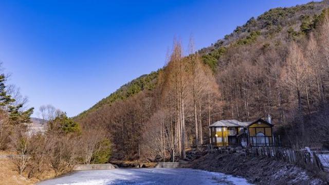 사유지인데 입장료 0원이다... 논산에 숨겨진 대표 ‘풍경 맛집’ 근황