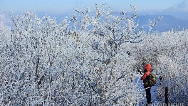 [날씨] 출근길 한파 '최저 -13도'…강원·경상 대기 건조 주의