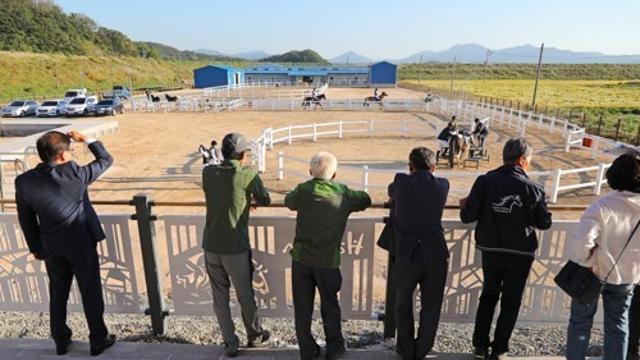 경남도 '말의 해' 말산업 육성에 21억 투입…