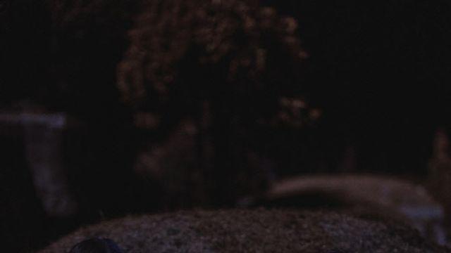 '프로젝트 Y' 팝콘무비 극찬 이끈 명대사 향연...명장면 셋