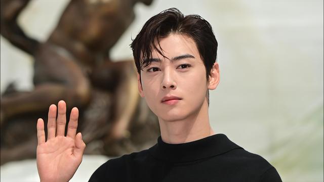 [단독] 차은우 탈세 의혹 확산 “청담 매장, 가족과 무관…판타지오 자회사 운영”